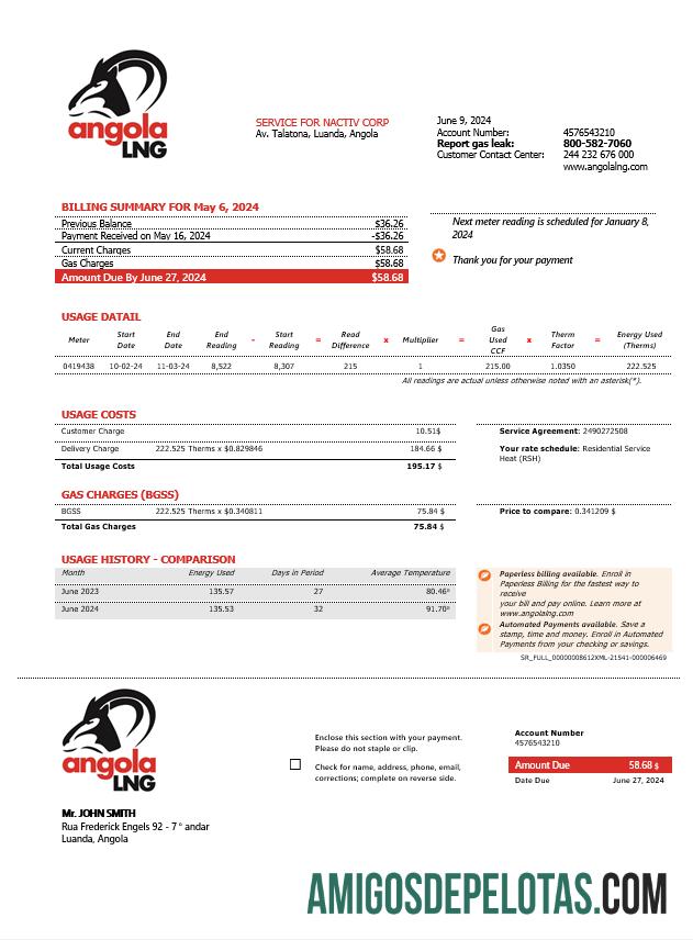 Para baixar modelo de fatura de serviços públicos de comprovação de endereço do Angola LNG em formato Word e PDF